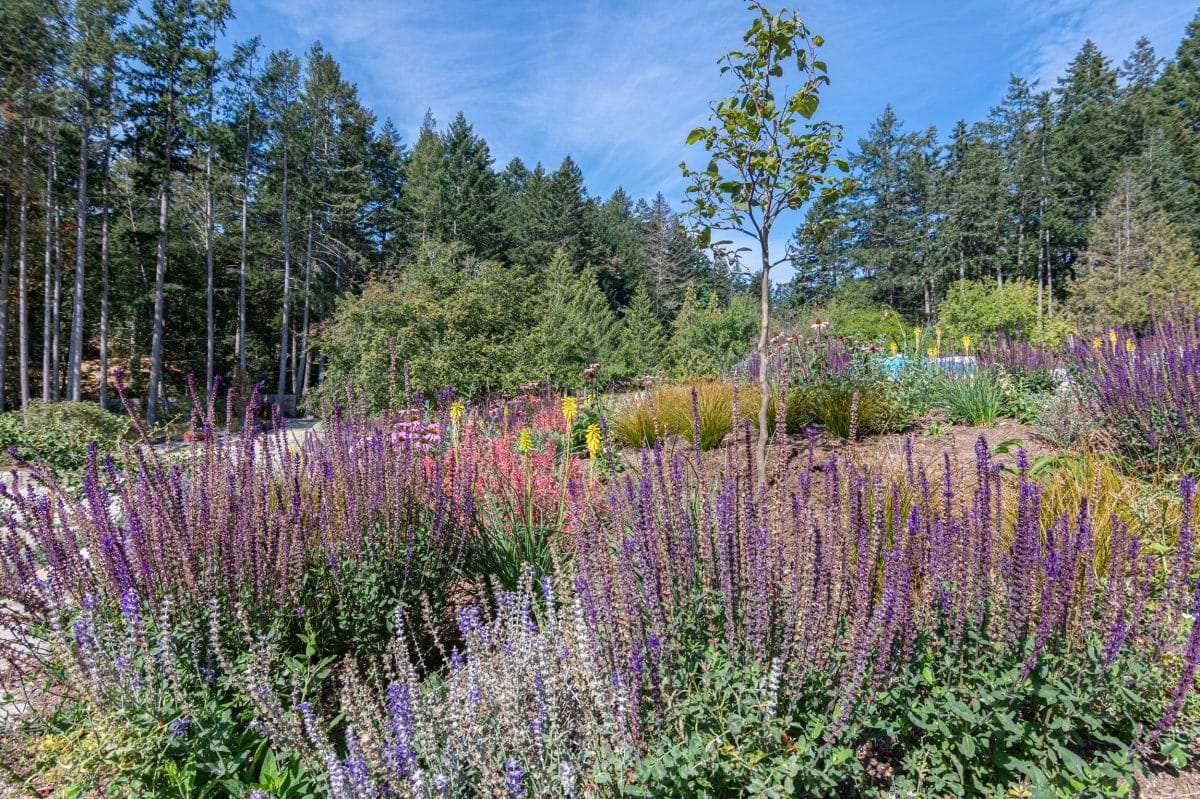 Experience Salt Spring Island