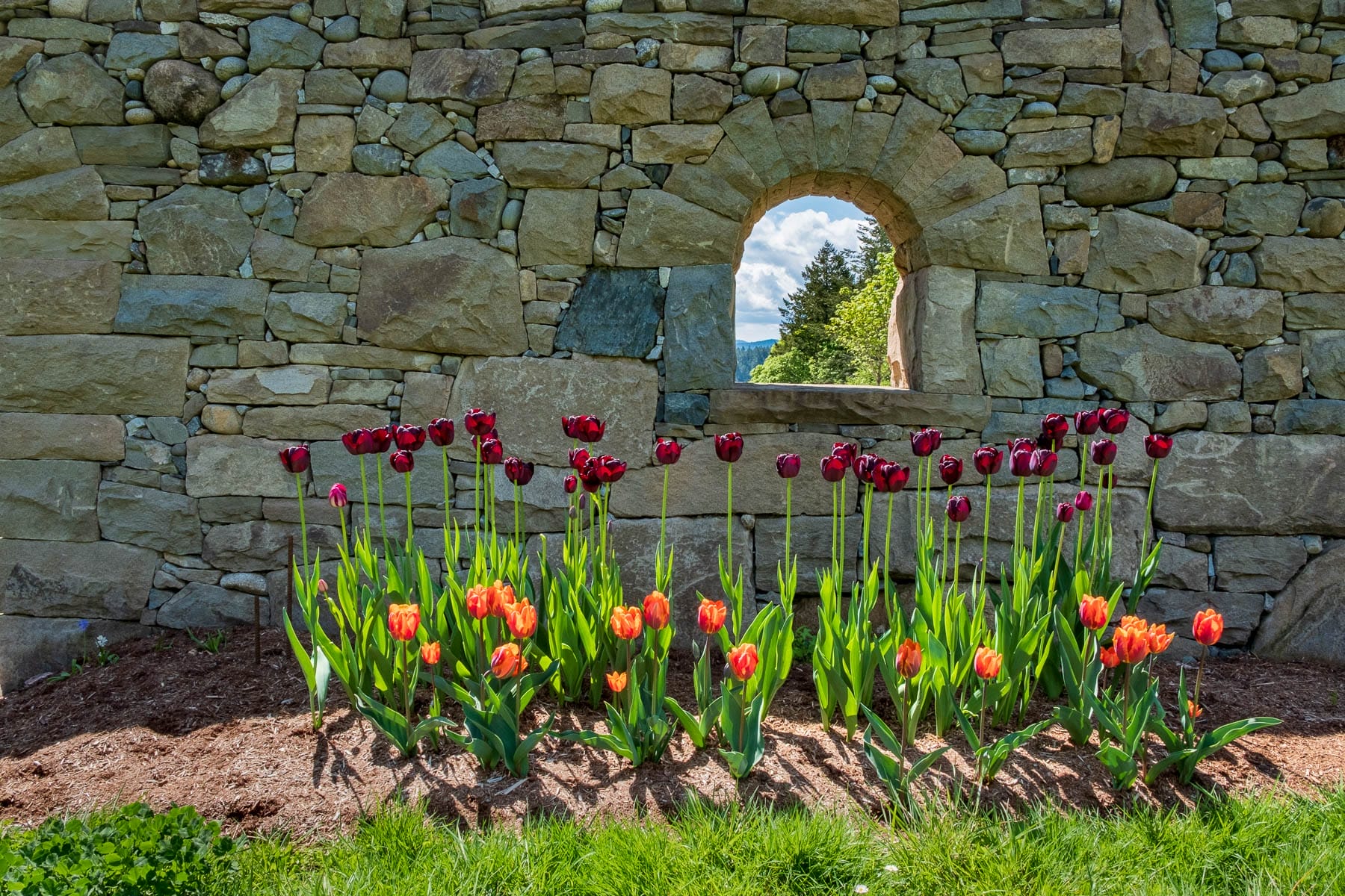 Tulips in front of artisan stonework