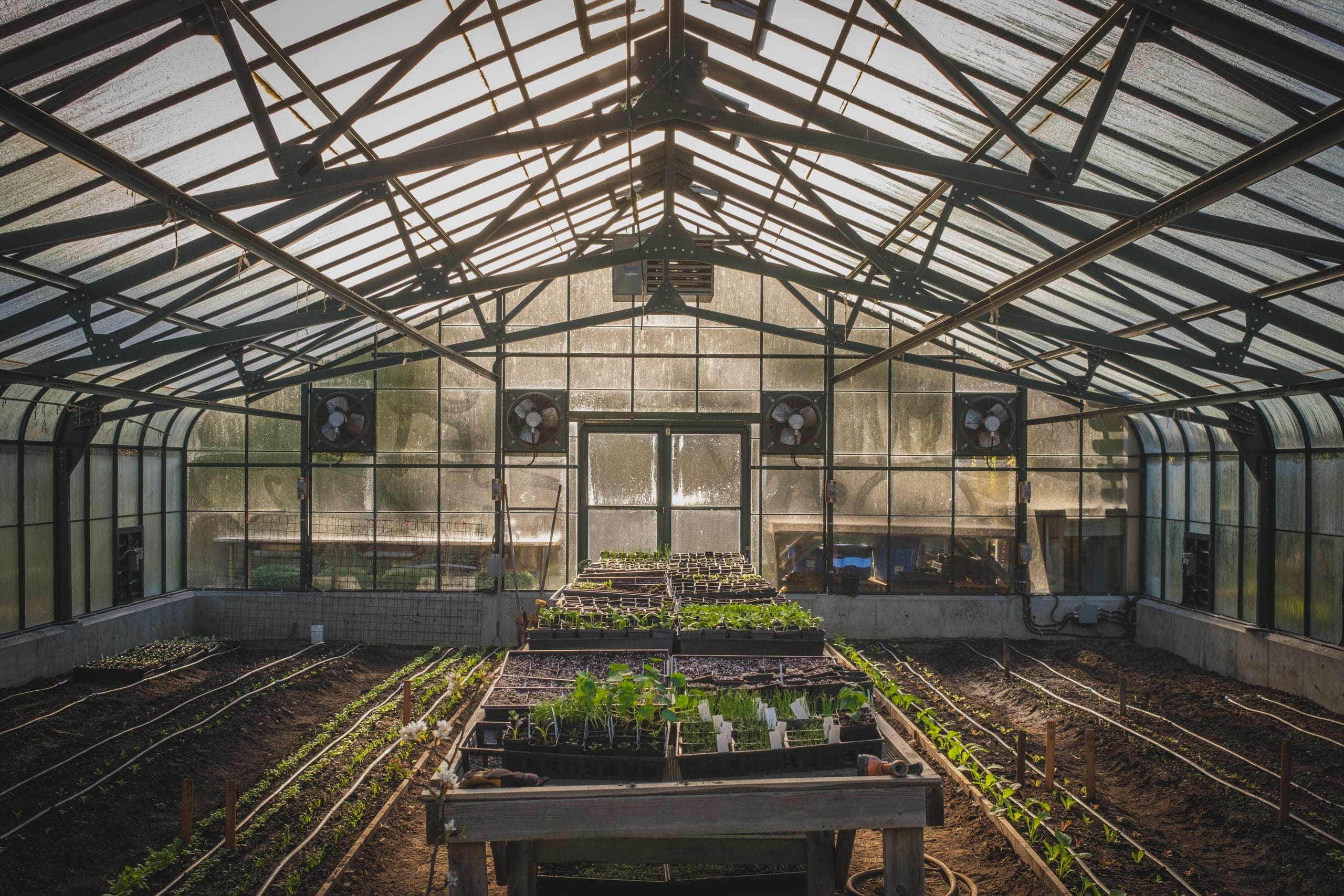 Greenhouse