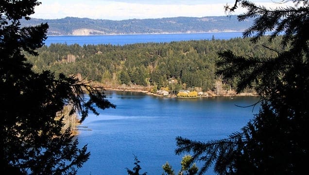 Hiking Trails - channel-ridge-south