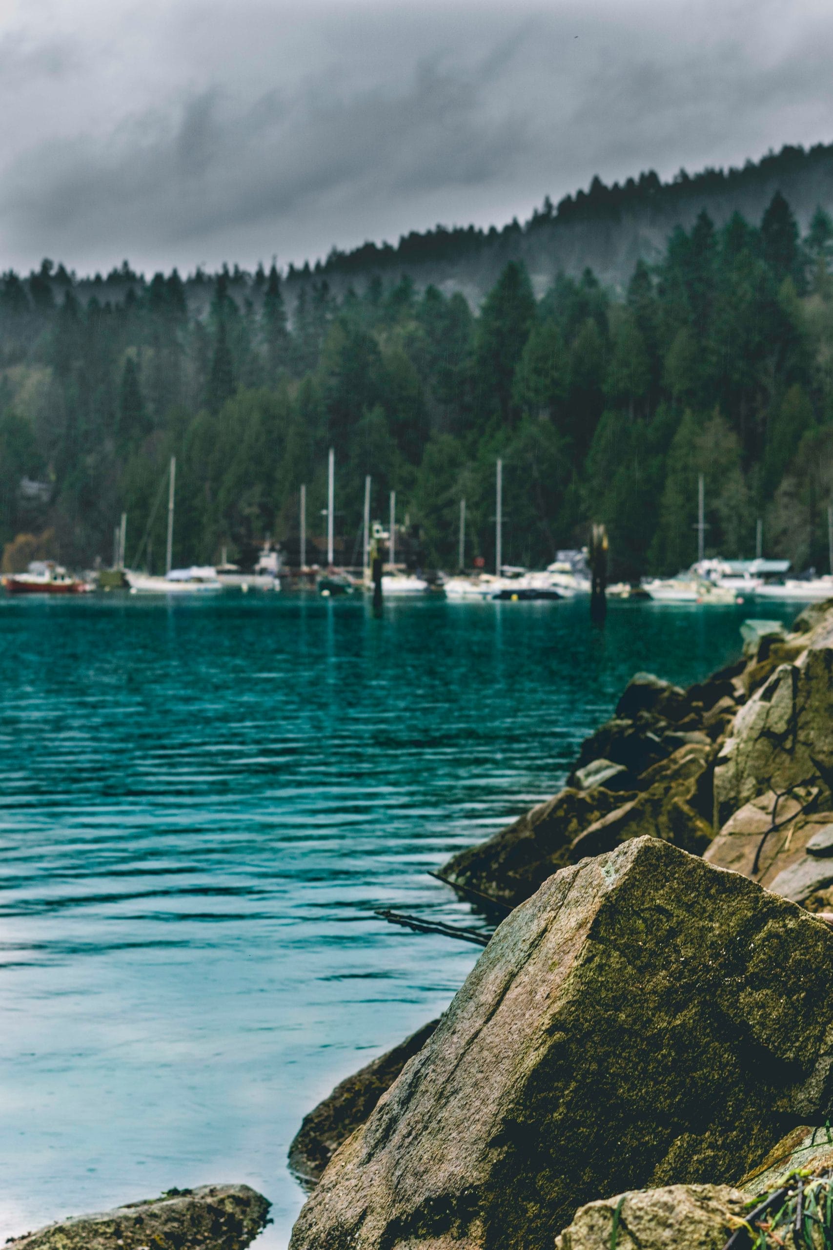 Salt Spring Island Marina