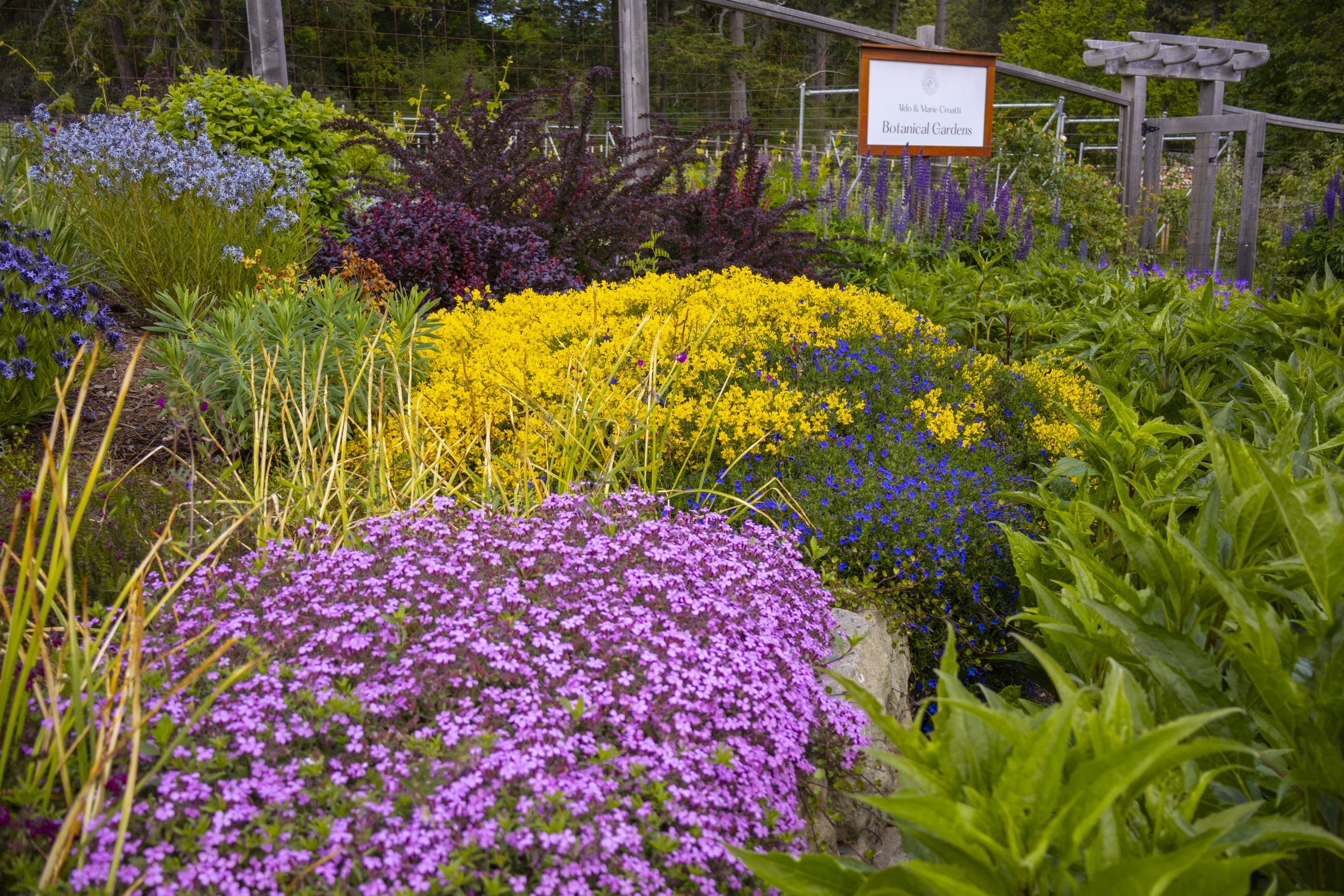 Botanical Gardens at Lightwater Cove